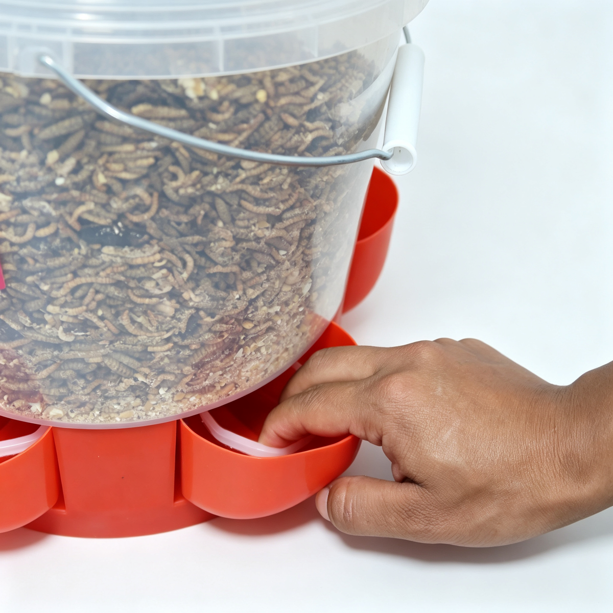 Mixed Feed with Innovative Feeder Bucket - 12 lb