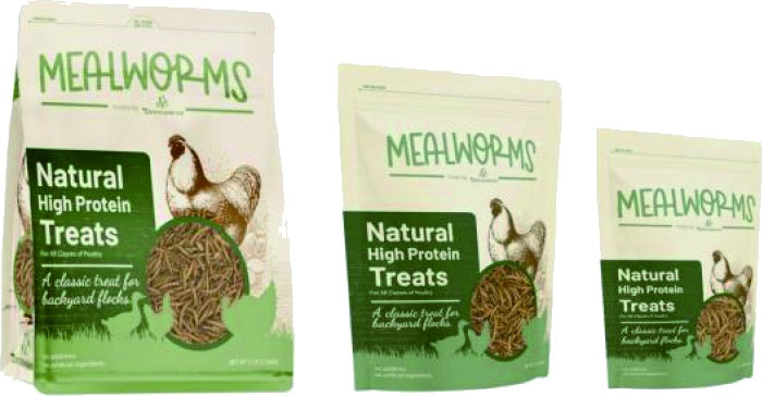 Dried Mealworms - 20 lb