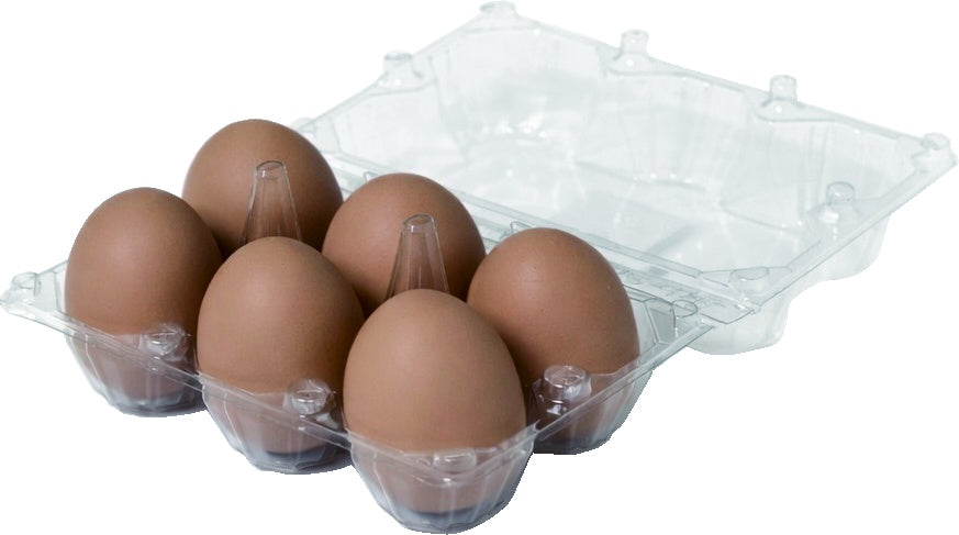 Artificial Chicken Eggs - 6 Pack
