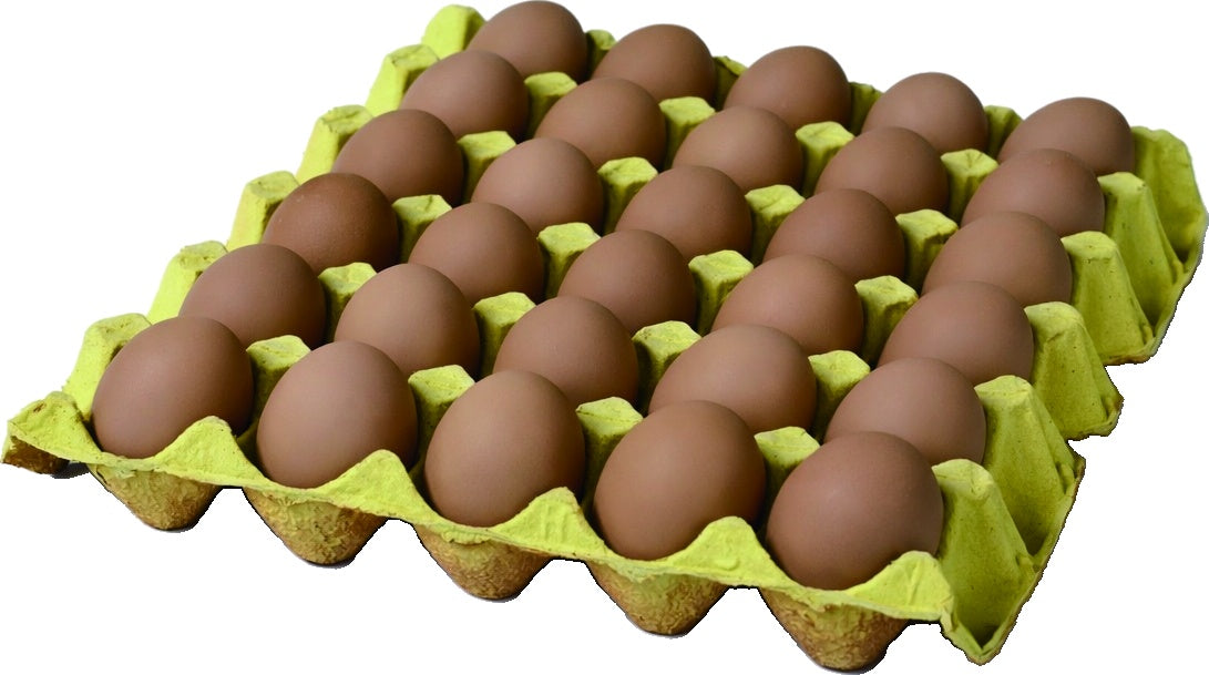 Artificial Chicken Eggs - 30 Pack